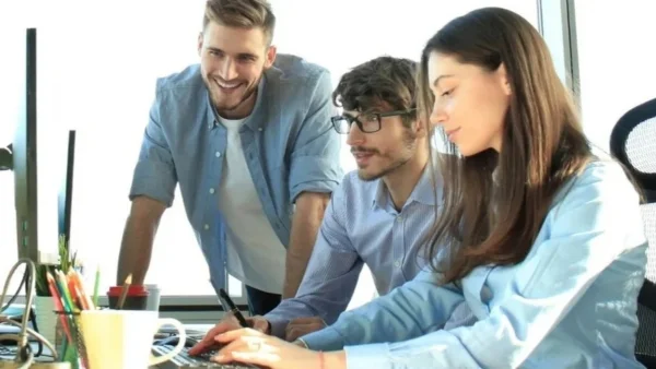 Bachelor Professional in IT